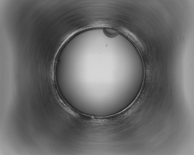 X0000116381236200912091408