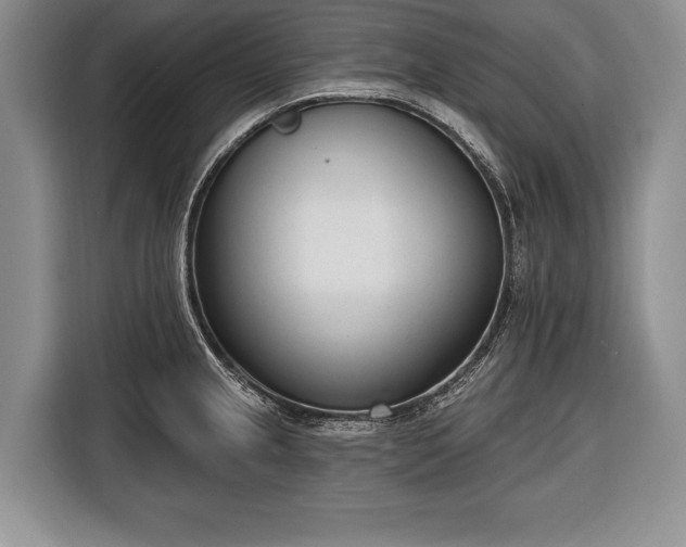 X0000116381237200912091408
