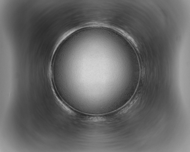 X0000116381239200912091408