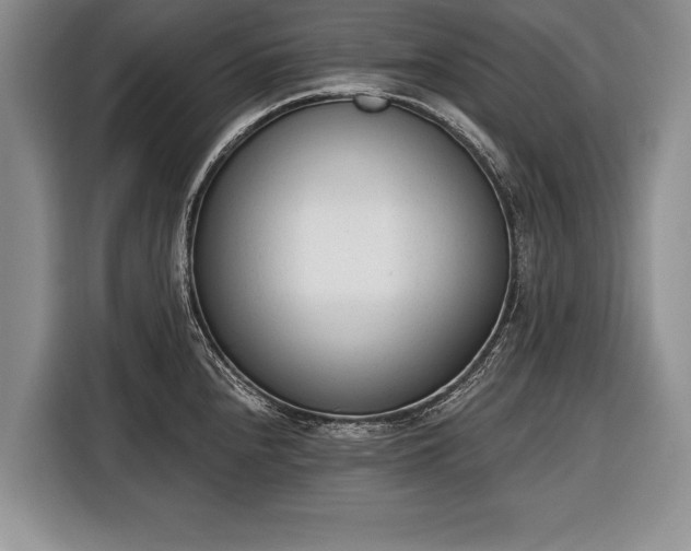 X0000116381240200912091408