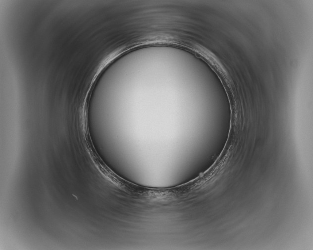X0000116381242200912091408