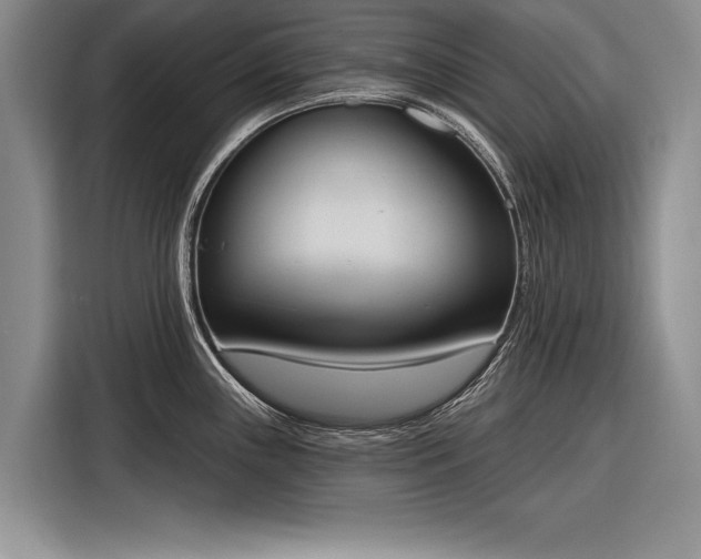 X0000116381243200912091408