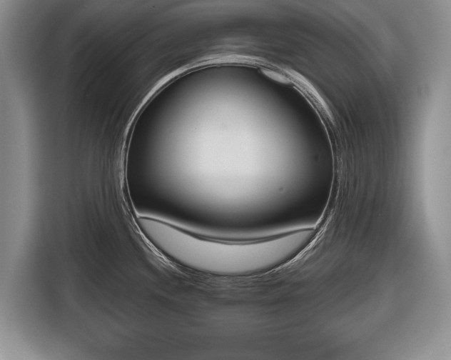 X0000116381244200912091408