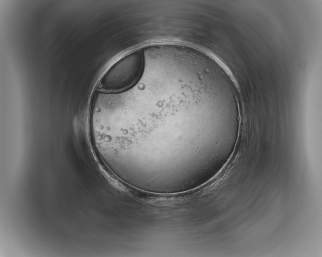 X0000116381245200912091408