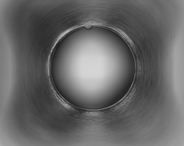X0000116381246200912091408