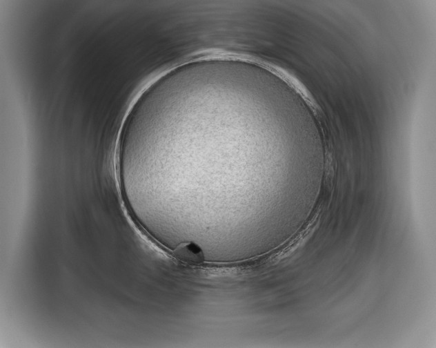 X0000116381247200912091408
