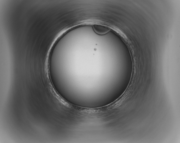 X0000116381248200912091408