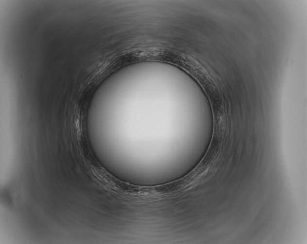 X0000116381250200912091407