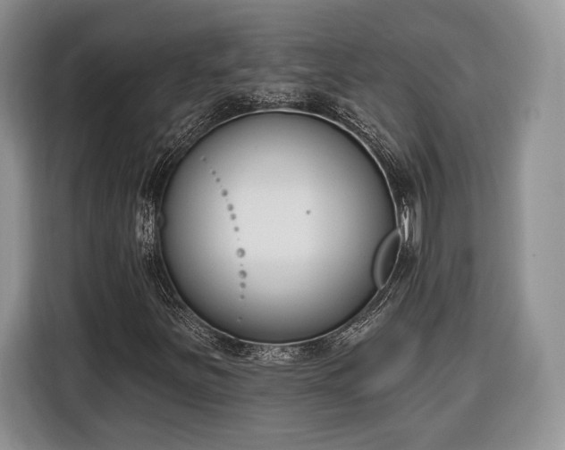 X0000116381251200912091407