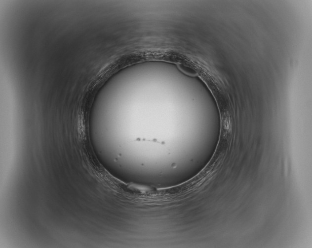 X0000116381252200912091407