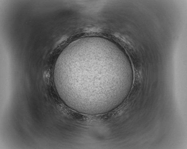 X0000116381254200912091407