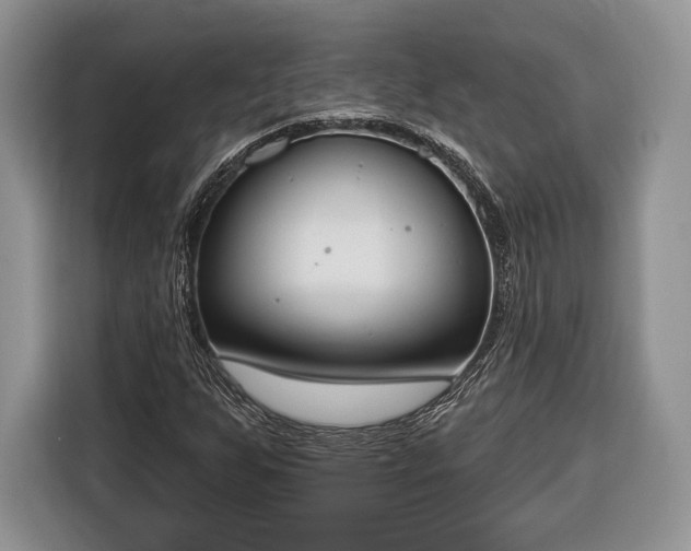 X0000116381255200912091407