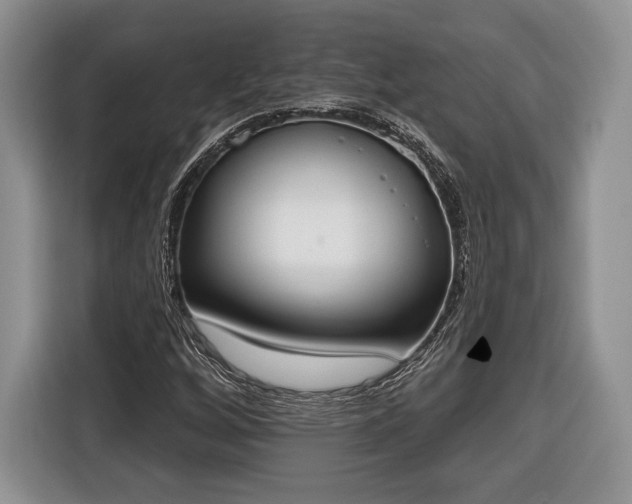 X0000116381256200912091407
