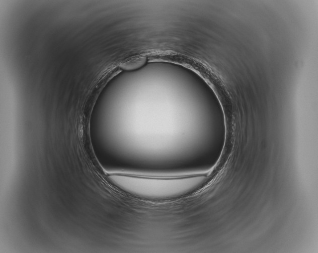 X0000116381257200912091407