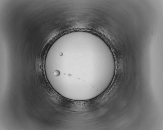 X0000116381258200912091407