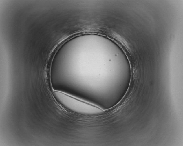 X0000116381260200912091407