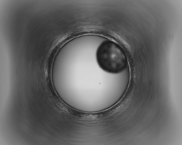 X0000116381261200912091407