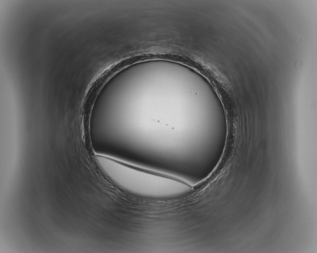 X0000116381262200912091407
