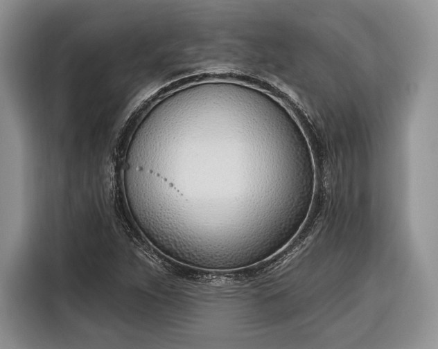 X0000116381263200912091407