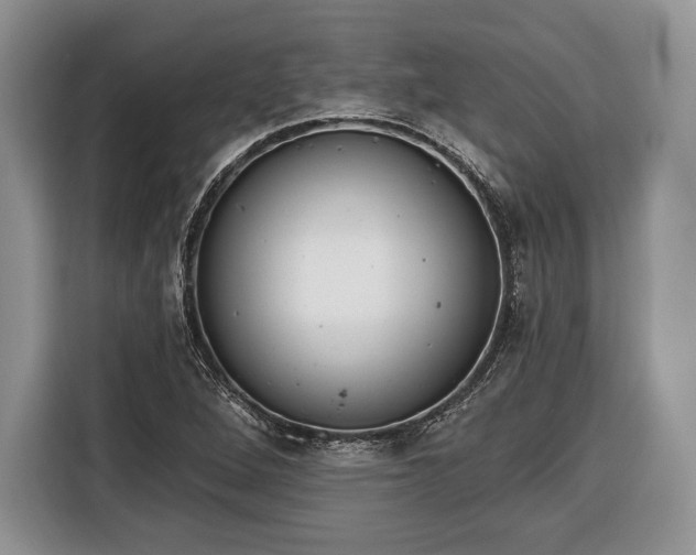 X0000116381264200912091407