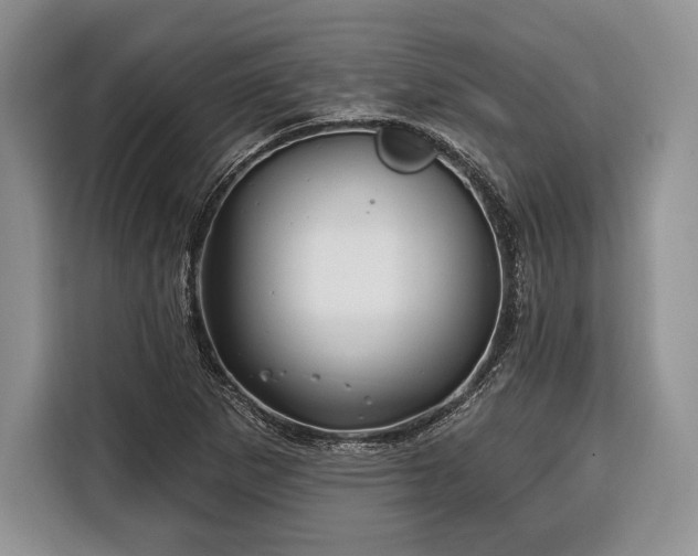 X0000116381265200912091407
