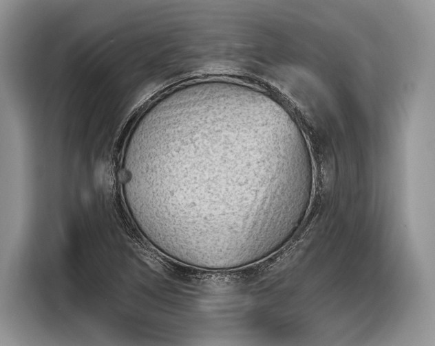 X0000116381266200912091407