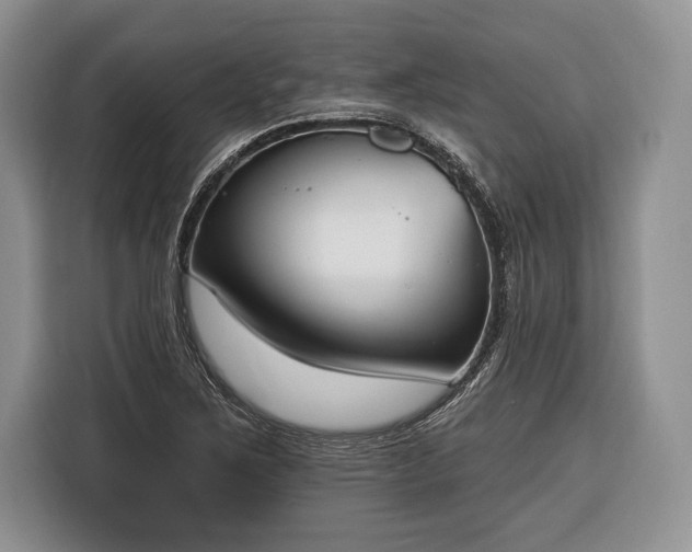 X0000116381267200912091407
