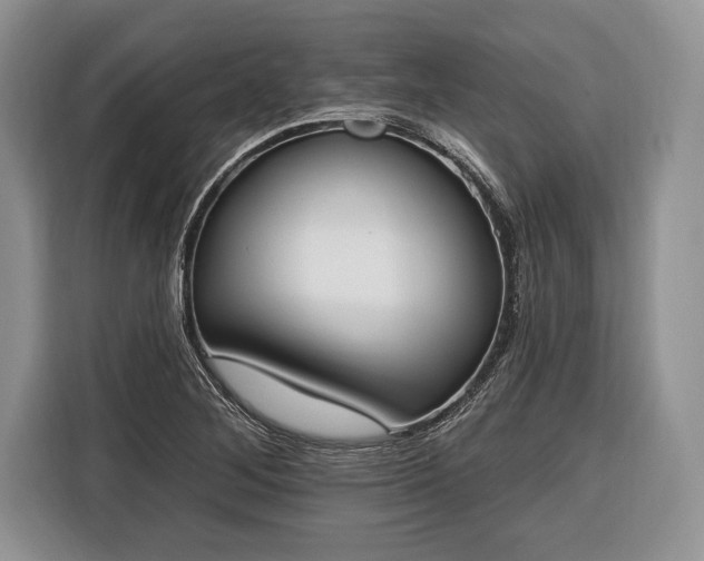 X0000116381268200912091407