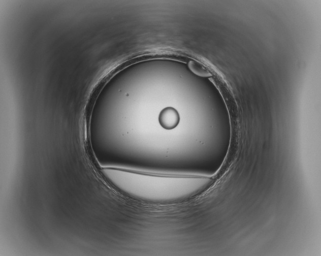 X0000116381269200912091407