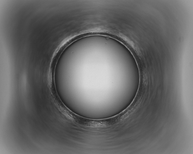 X0000116381270200912091407