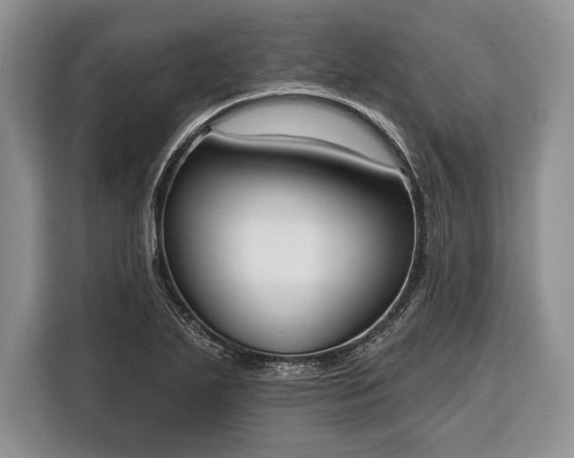 X0000116381271200912091407