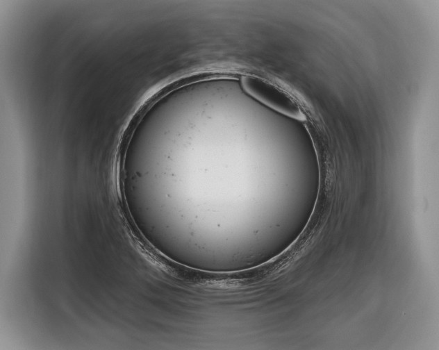 X0000116381272200912091407