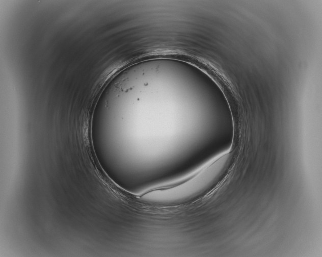 X0000116381273200912091407