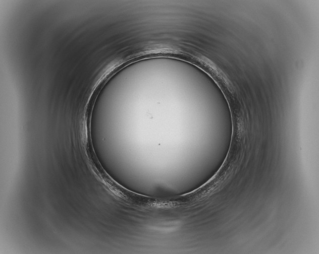 X0000116381274200912091407