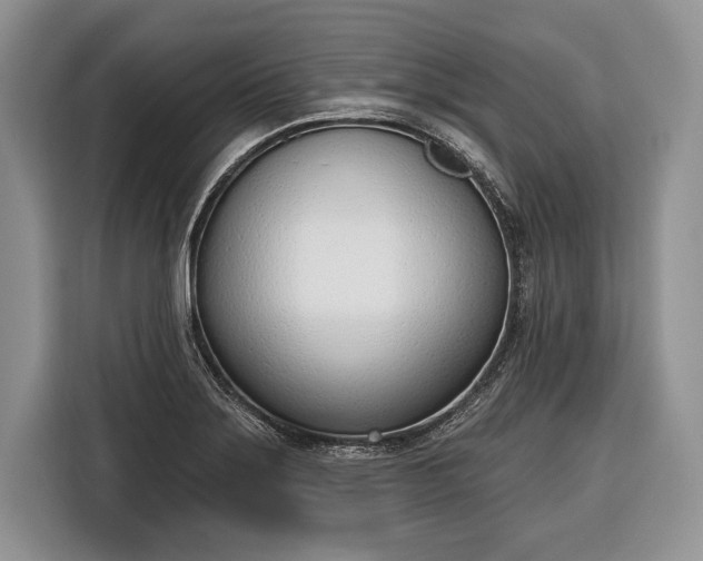 X0000116381275200912091407