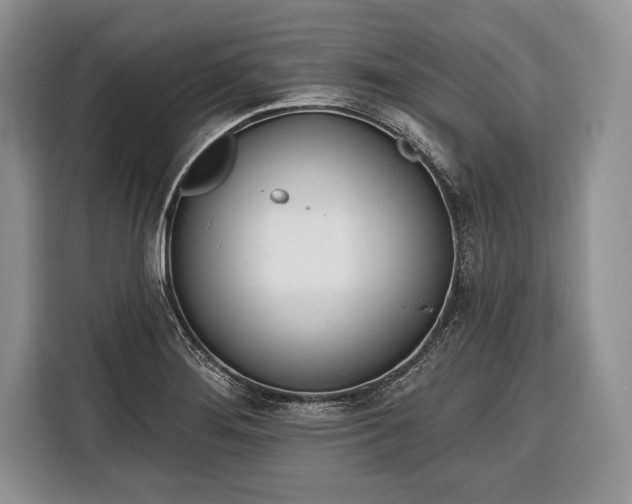 X0000116381276200912091407