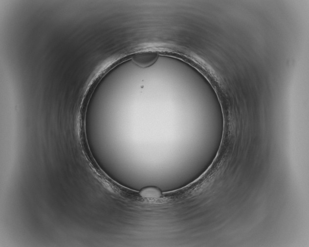 X0000116381277200912091407