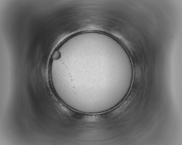 X0000116381278200912091407