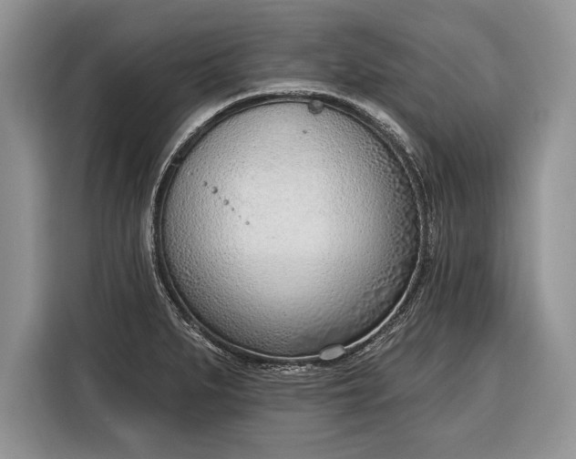 X0000116381279200912091407