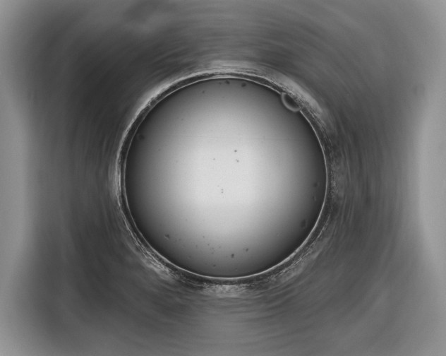 X0000116381280200912091407