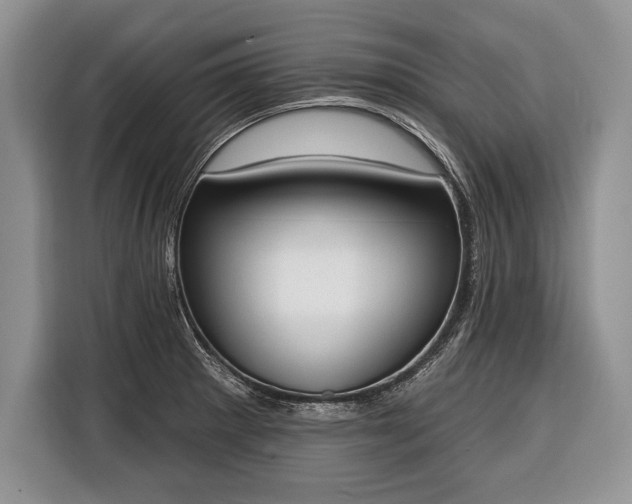 X0000116381281200912091407