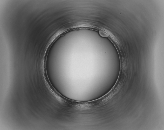 X0000116381282200912091407