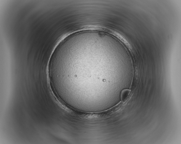 X0000116381283200912091407