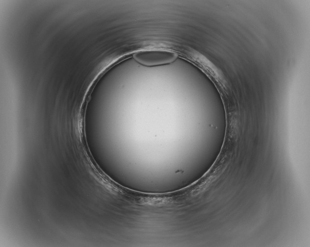 X0000116381284200912091407