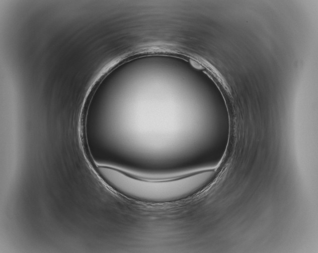 X0000116381285200912091407