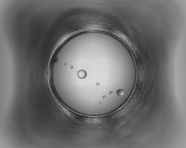X0000116381286200912091407