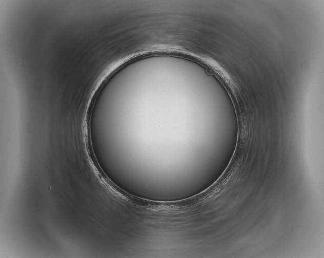 X0000116381287200912091407