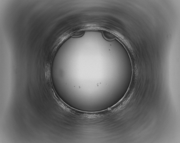 X0000116381289200912091407