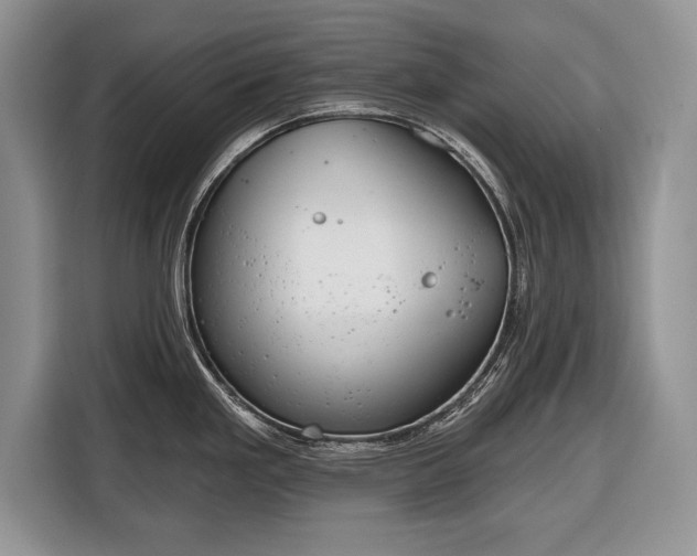X0000116381293200912091407