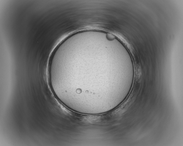 X0000116381294200912091407